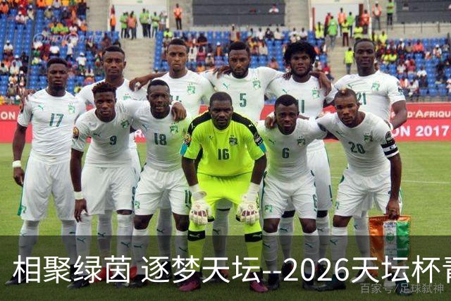 相聚绿茵 逐梦天坛--2026天坛杯青少年足球交流火热开启